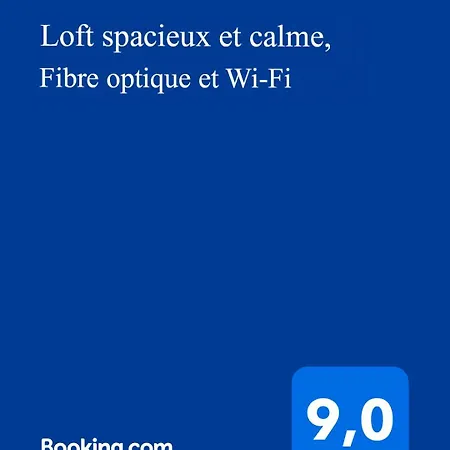 Loft Entier, Calme, Fibre Et Wifi * Saint-Quentin (Aisne)